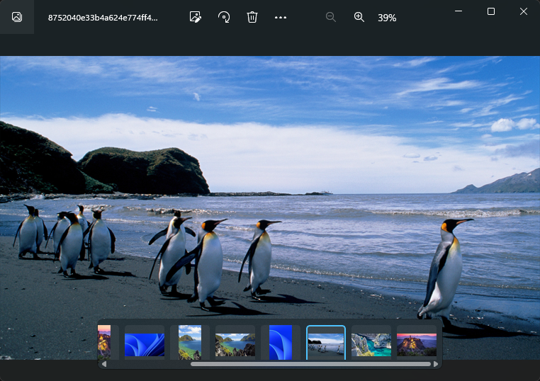 如何在电脑上下载 Windows 聚光灯壁纸图像