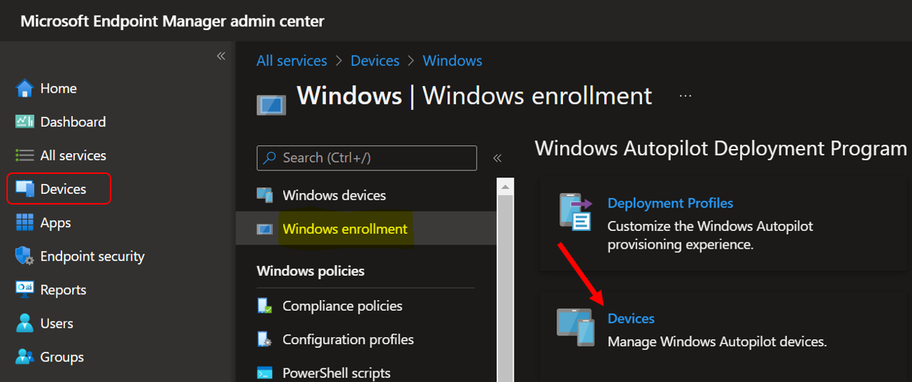 错误代码 801c03ed:如何在 Windows 11 上修复它