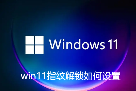 win11指纹解锁如何设置