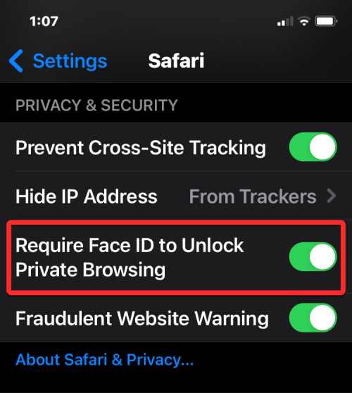 2023年指南:如何在 iPhone Safari 上关闭隐私浏览模式