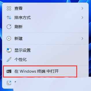 Win11如何查看电脑型号?Win11查看电脑型号的方法