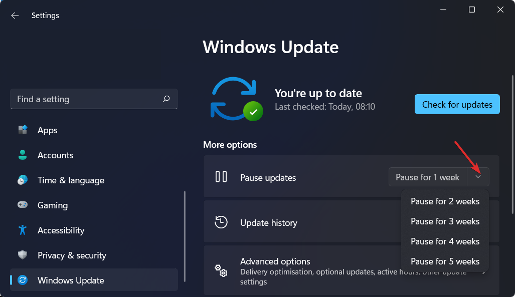 减少Windows 11数据使用量的有效方法