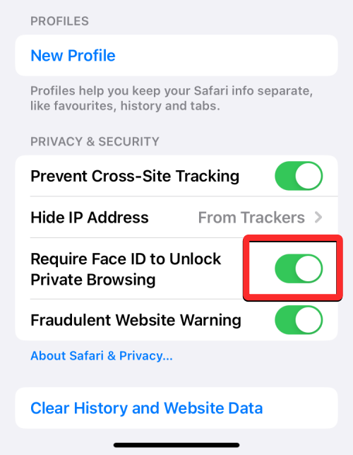 iOS 17:如何在iPhone上的Safari中启用Face ID以进行隐私浏览