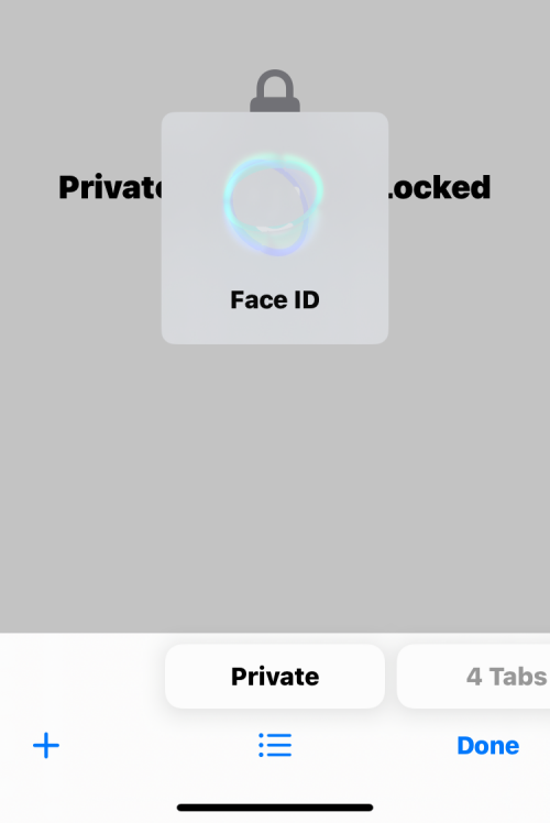 iOS 17:如何在iPhone上的Safari中启用Face ID以进行隐私浏览
