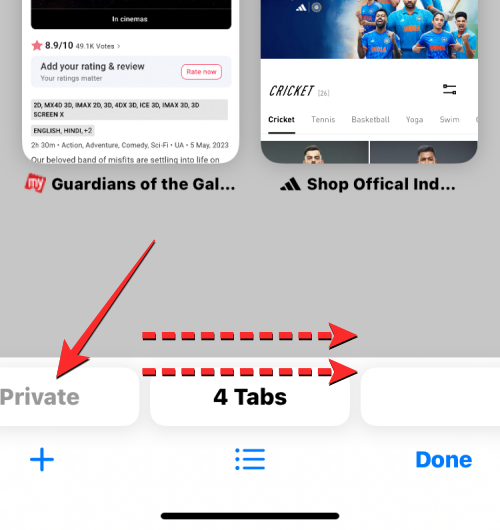 iOS 17:如何在iPhone上的Safari中启用Face ID以进行隐私浏览