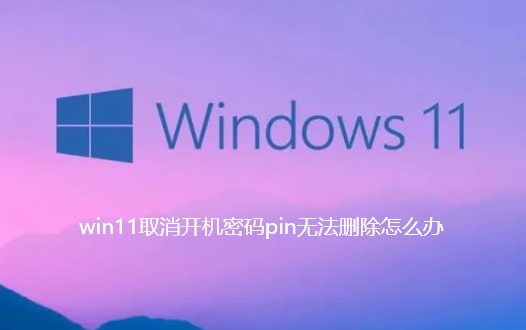 win11取消开机密码pin无法删除怎么办