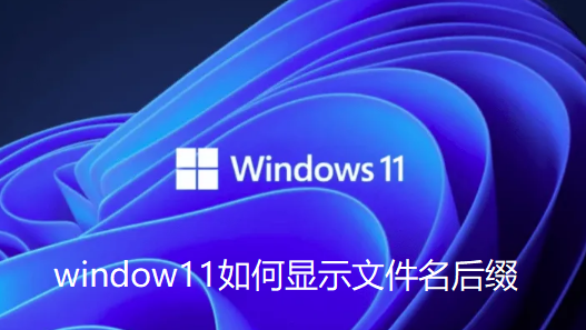 win11怎么显示文件属性后缀