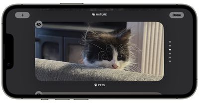 iOS 17:如何在待机模式下自定义照片屏幕