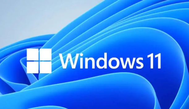 优化虚拟内存使用,提高win118g内存性能