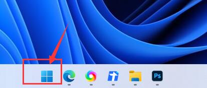 如何详细使用Windows 11的搜索栏?