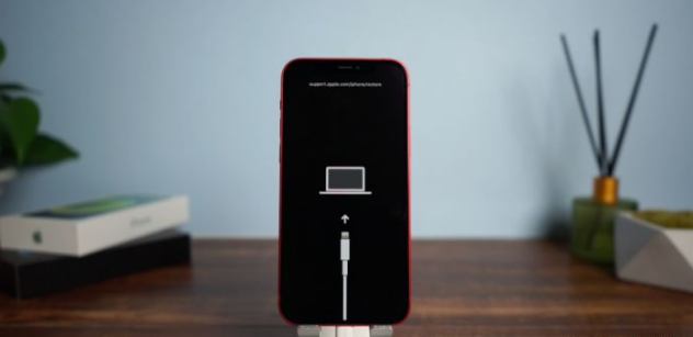 iPhone屏幕一直显示充电线+电脑?这是卡在恢复模式了!