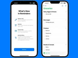 如何利用iOS 17 “提醒事项”自动归类物品？