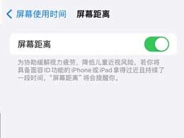 iOS 17屏幕距离功能开启方法