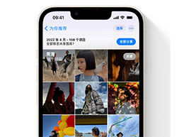 在 iPhone 上找不到“共享相簿”怎么办？