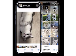 iOS 17 新功能：让两部 iPhone 靠近快速分享照片
