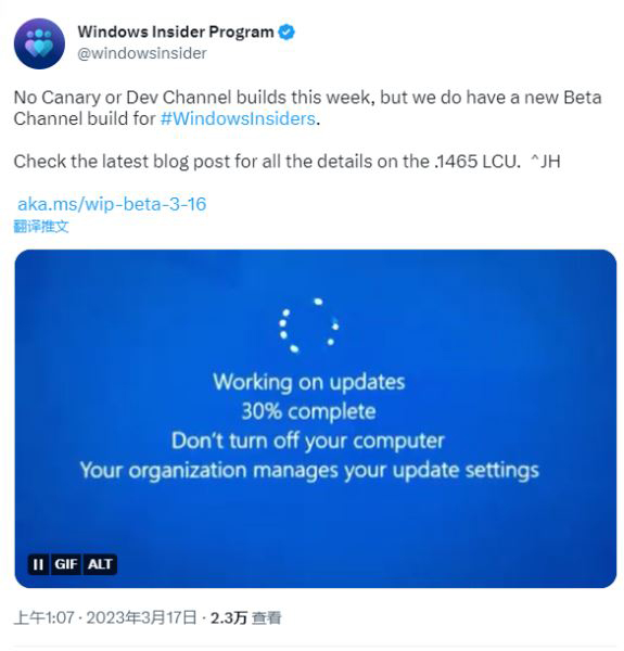 微软称本周无Win11 Dev或Canary新预览版本推送!