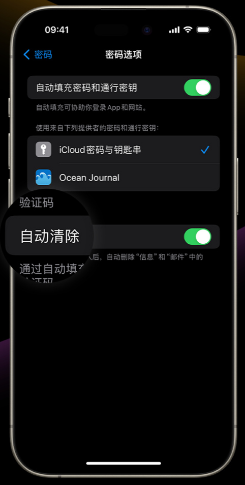 iOS 17 小技巧:支持自动清理 iPhone 验证码信息