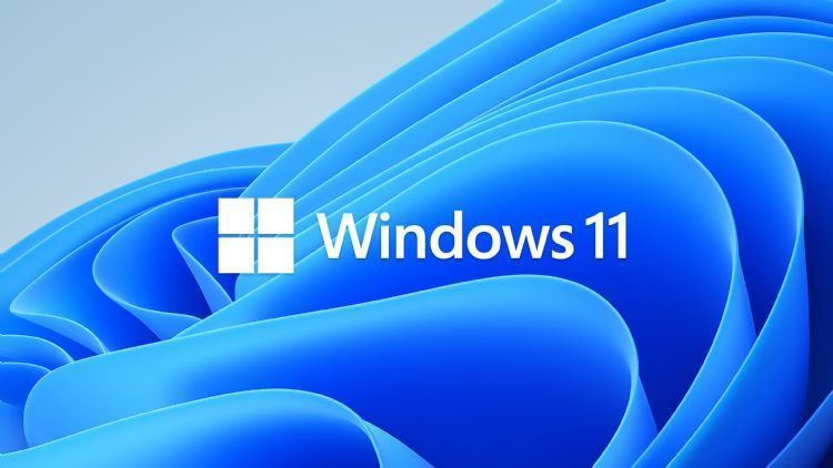 Win11新功能：测试版用户终于有了退回正式版系统的机会