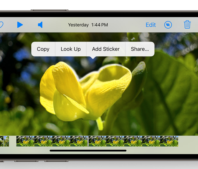 iOS 17 值得留意的细节改进汇总:实用离线地图、支持看图查询菜谱等