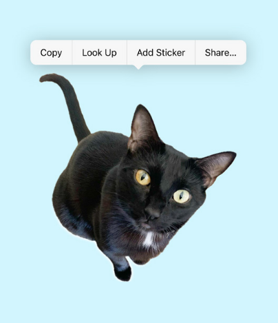 iOS 17 值得留意的细节改进汇总:实用离线地图、支持看图查询菜谱等