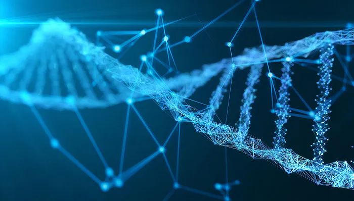 LLM与药物发现结合,NVIDIA、Mila、Caltech团队发布多模态分子结构-文本模型
