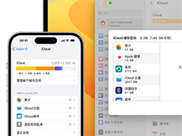 iCloud 储存空间中的“其他”类别包含哪些文件？
