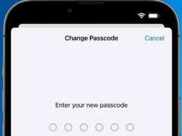 我忘记了重置后的密码，应该怎么办？