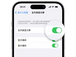 如何在苹果Phone 15上设置始终可见的屏幕显示？