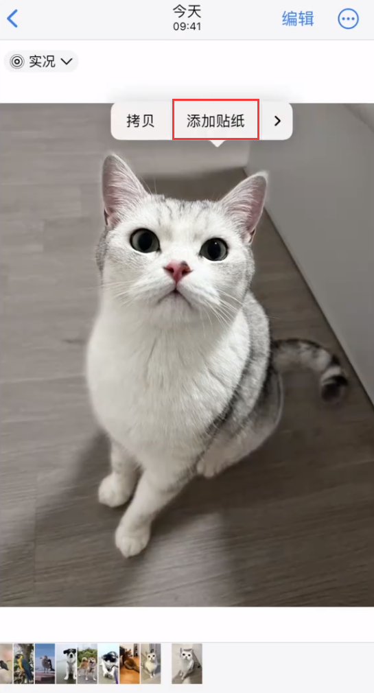 iOS 17 小技巧:如何在 iPhone 上创建和粘贴个性贴纸?