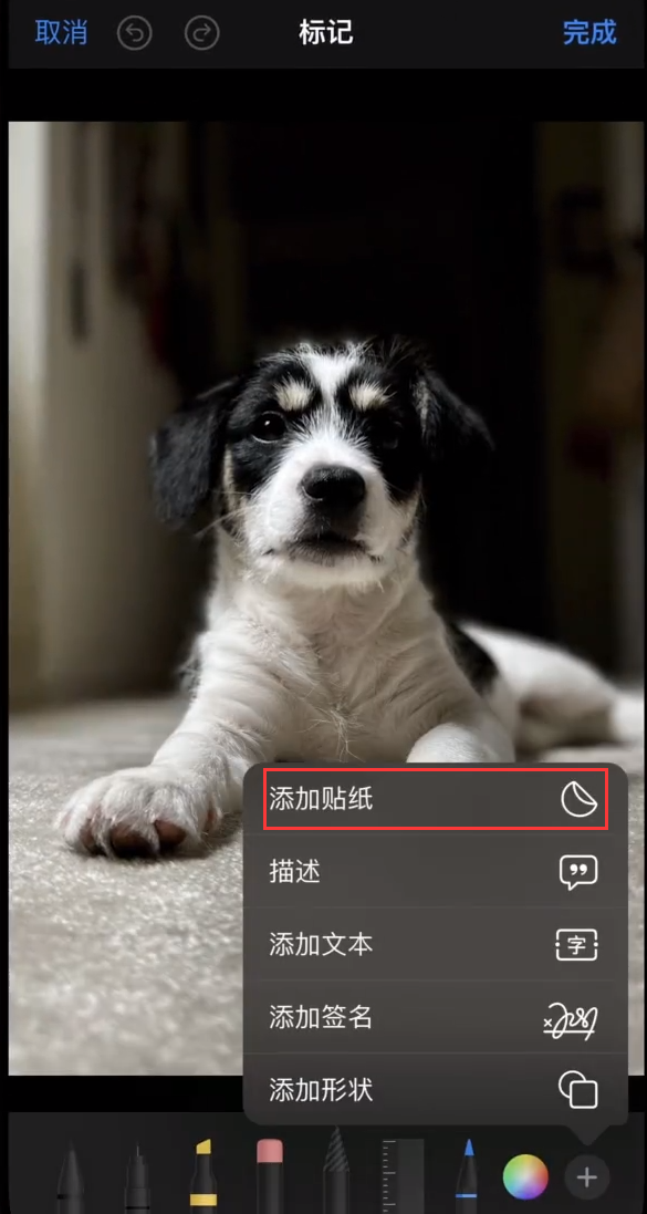 iOS 17 小技巧:如何在 iPhone 上创建和粘贴个性贴纸?