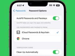 苹果 iOS 17 系统潜藏的改进之处综述