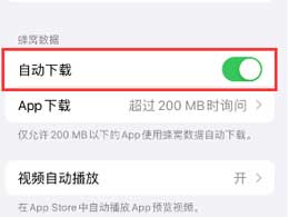 iPhone 15手机中如何启用应用程序自动更新功能？