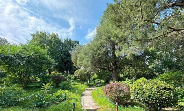 iPhone 15 Pro影像效果怎么样?