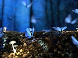 iPhone 15 系列上的肖像模式设置教程