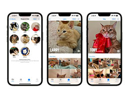 iOS 17 照片应用增强功能：更精准地识别人物和猫狗宠物