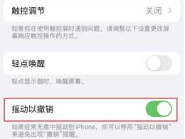 iPhone手机的哪些功能可以通过摇动来实现撤销操作？