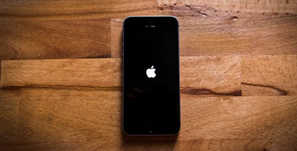 iPhone内存已满出现“白苹果”问题怎么办?可使用工具一键修复