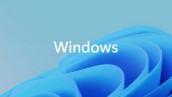 win11网络连接里面一片空白怎么回事