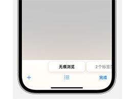 使用面容 ID 解锁的 iOS 17 隐私保护功能：无痕浏览
