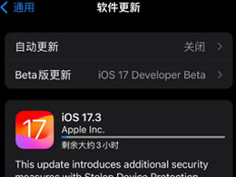 苹果iOS / iPadOS 17.3 RC更新功能总览
