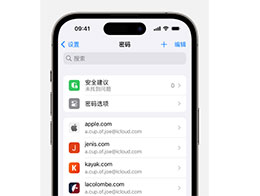 iOS 17 强化隐私：密码共享仅限信任联系人