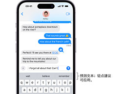 增强文字输入效率的iPhone小技巧：利用“预测文本”功能