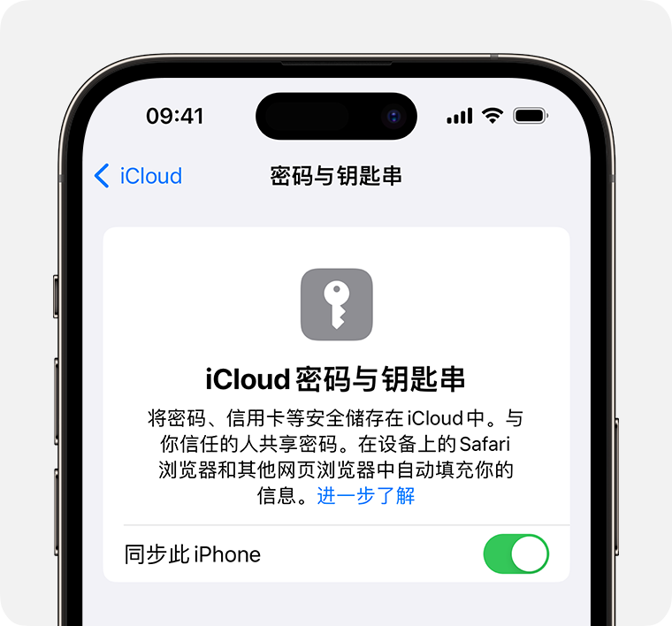 如何在 iPhone 15 系列机型中使用 iCloud 钥匙串?