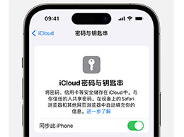 使用 iCloud 钥匙串的方法适用于 iPhone 15 系列机型的教程