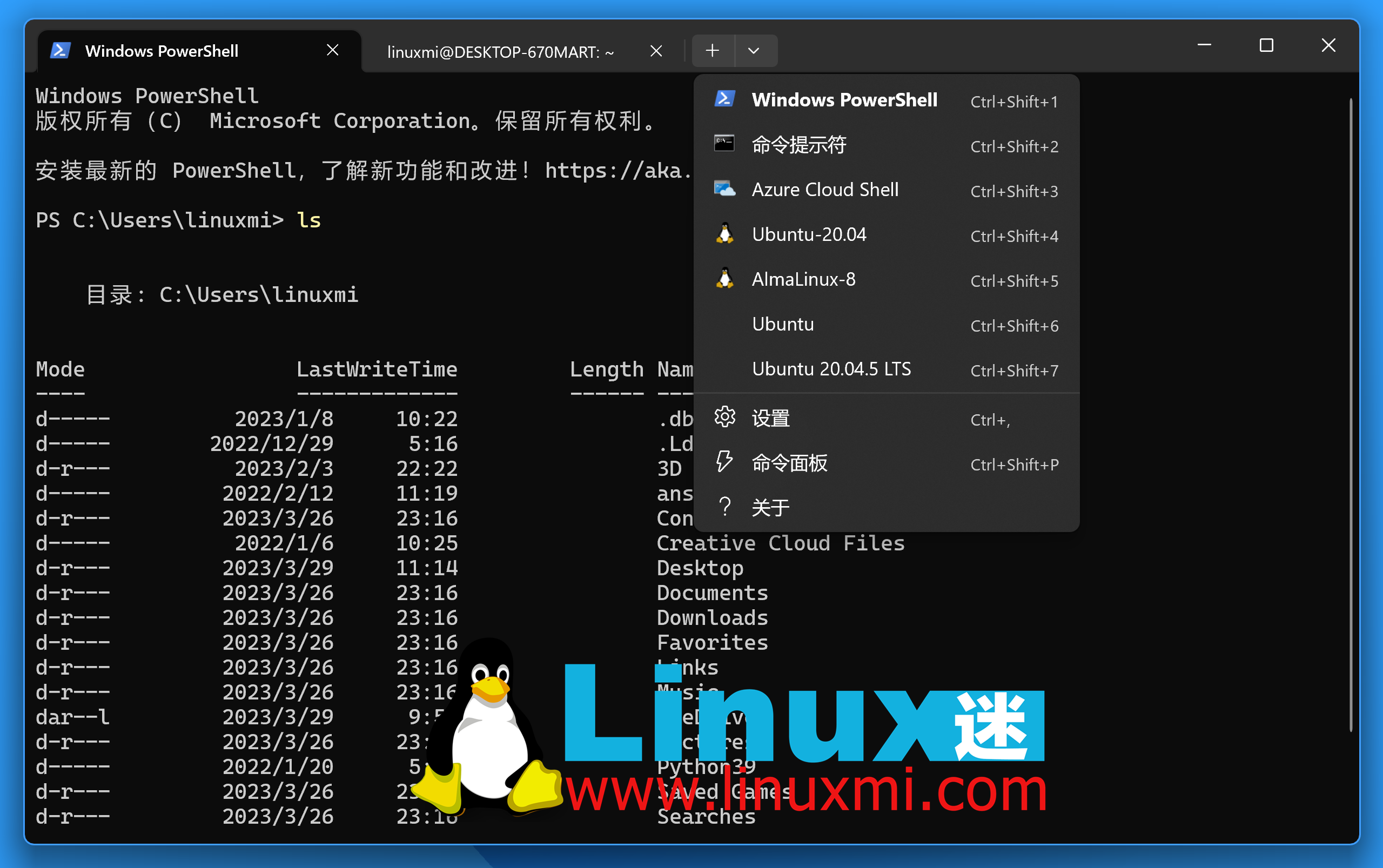 何时应该考虑使用 WSL 而不是标准 Linux 发行版?