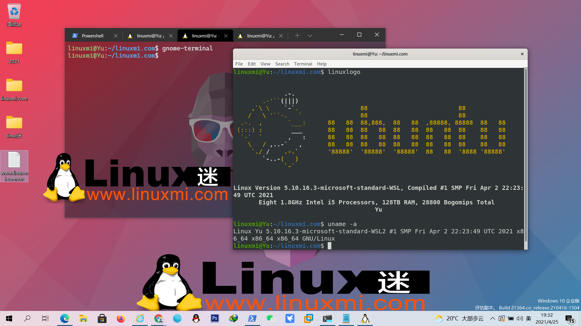何时应该考虑使用 WSL 而不是标准 Linux 发行版?