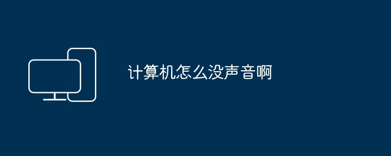 计算机怎么没声音啊