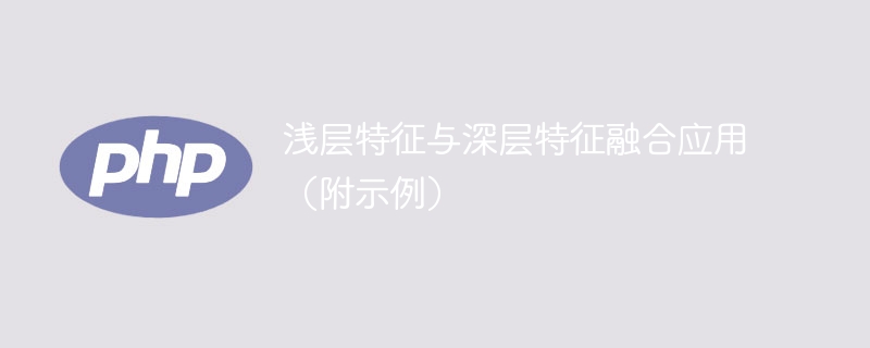 示例:利用浅层和深层特征融合的应用领域分析