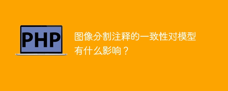 图像分割注释的一致性对模型性能的影响是什么？