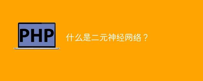 什么是二元神经网络？